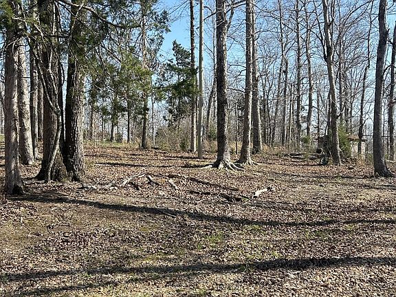 3rd image of 97 Cardinal Hollow Rd