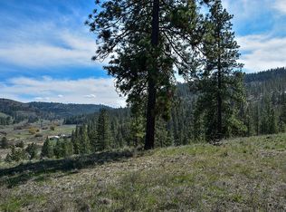 35655 Spruce Grouse Ln N, Davenport, WA 99122