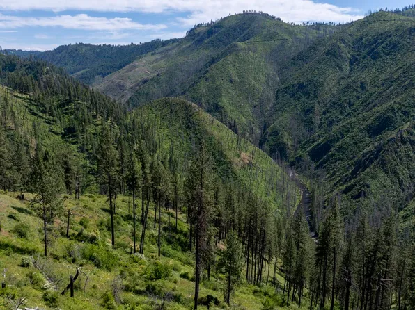 0 Forest Garden Ln Parcel 7, Weippe, ID 83553