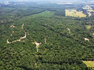 County Road 3163 S, Laneville, TX 75667