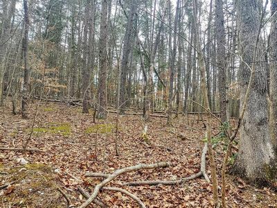 116 Niver Dr, Union Hall, VA, 24176