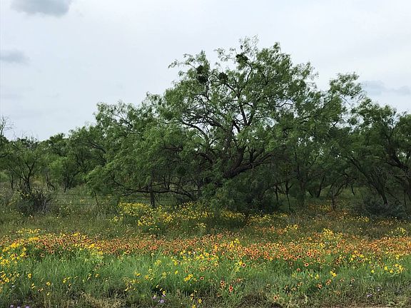 5th image of 14570 Fm 2402