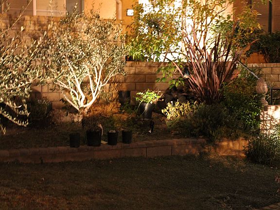 Backyard 2