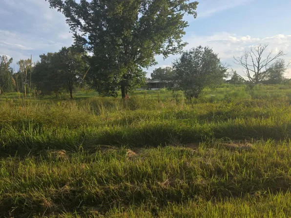 1181 Andrew Milling Rd, Decatur, MS 39327