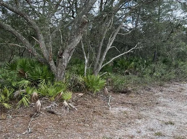 0 NE 144th Ct #36, Fort Mc Coy, FL 32134