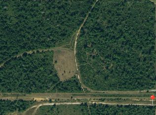 259 Pasture Rd, Perkinston, MS 39573