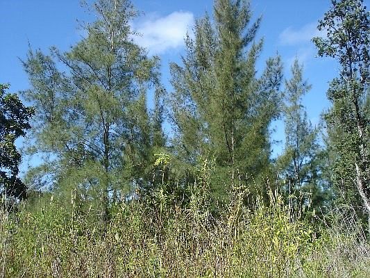 2nd image of 15-1060 Kilika Rd Lot 224