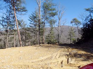 1730 Norwood Town Rd, Del rio, TN 37727