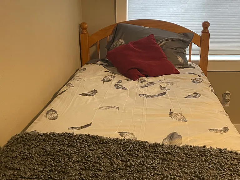 bed with storage below in downstairs bedroom