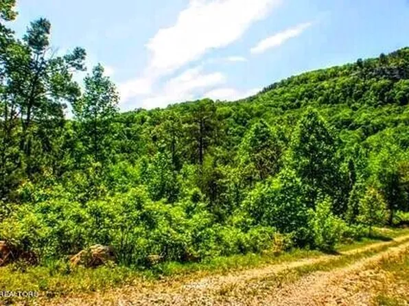 Blue Sewanee Rd, Dunlap, TN 37327