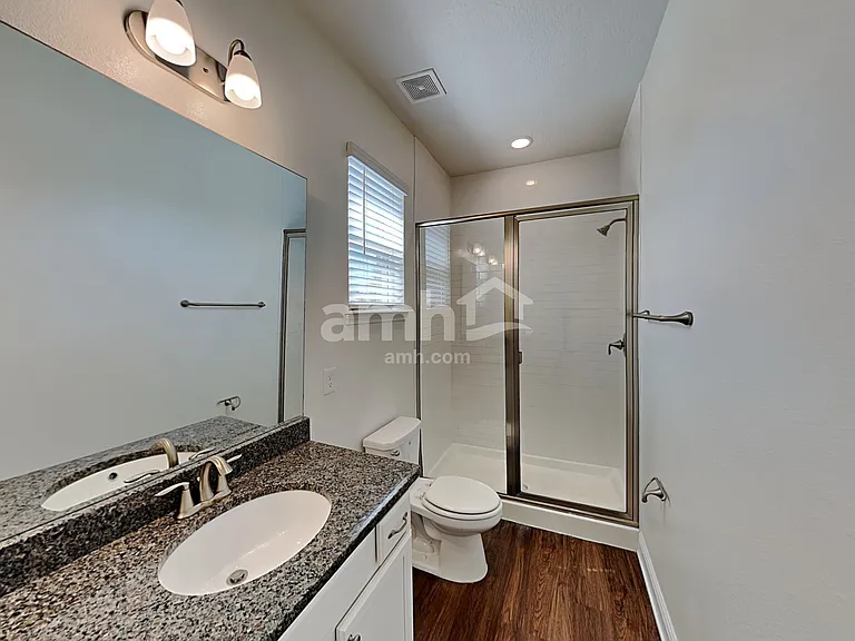 1306 Celery Palm Cv — Photo 14
