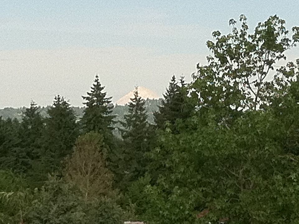 View from Master Suite