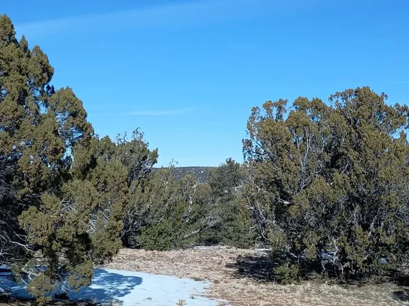 Deer Run Trl, Pie Town, NM 87827