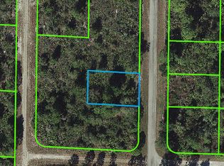 1146 Durrance Rd, Lake Placid, FL 33852