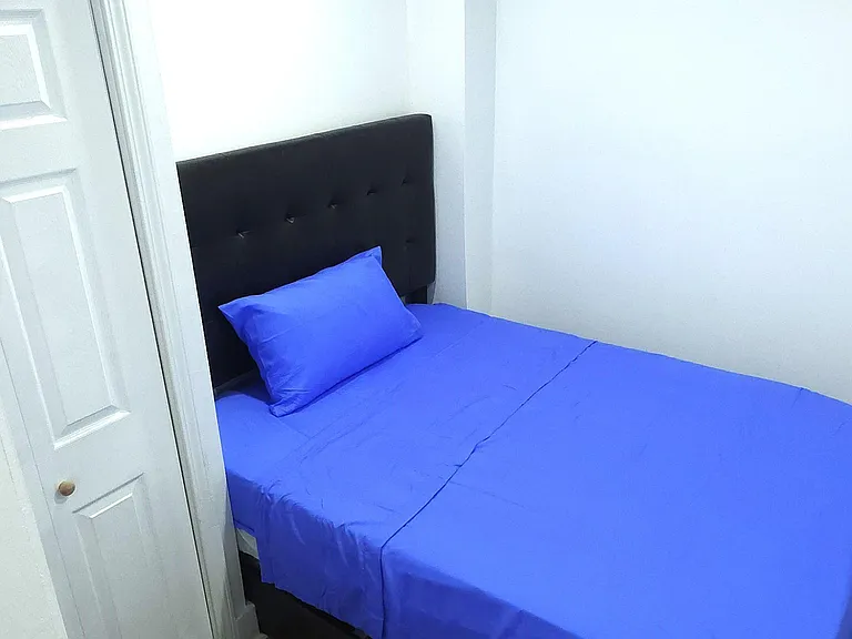 Compact bedroom with a full bed, upholstered headboard, and wood-look flooring, offering a simple space for rest.
