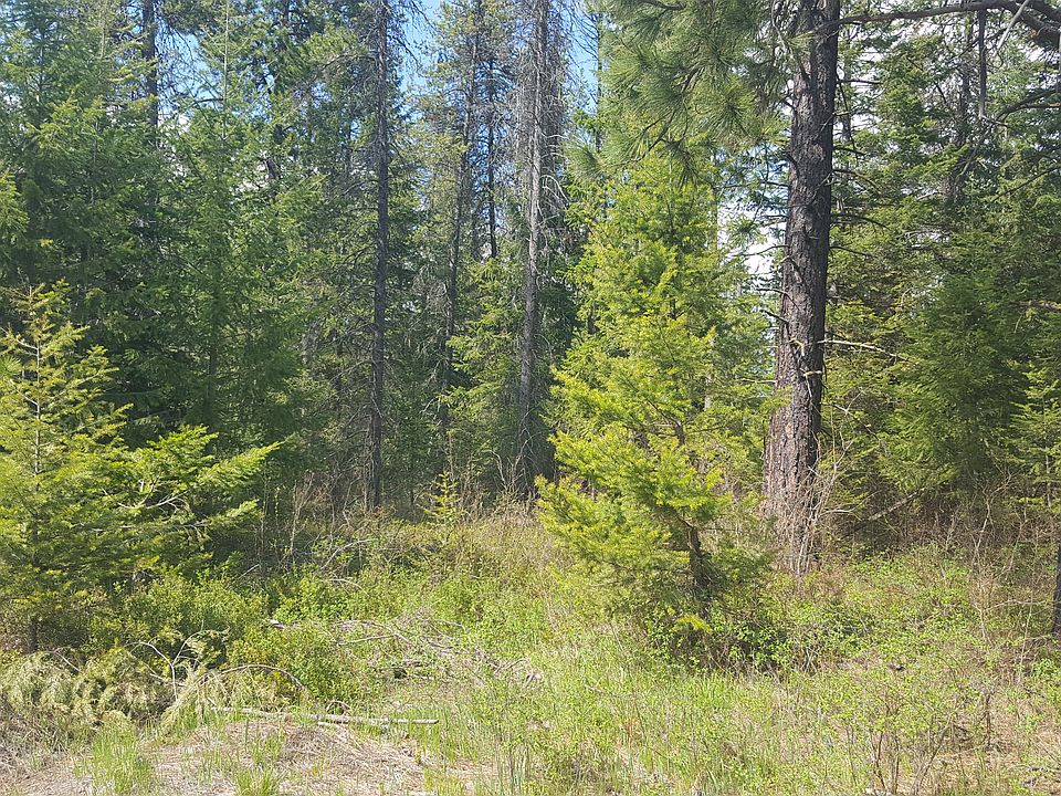 2nd image of Nna New Hampshire