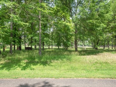 478 Saint Andrews Dr, Mabank, TX, 75156