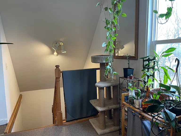 1148 Jenifer St #2 — Photo 30