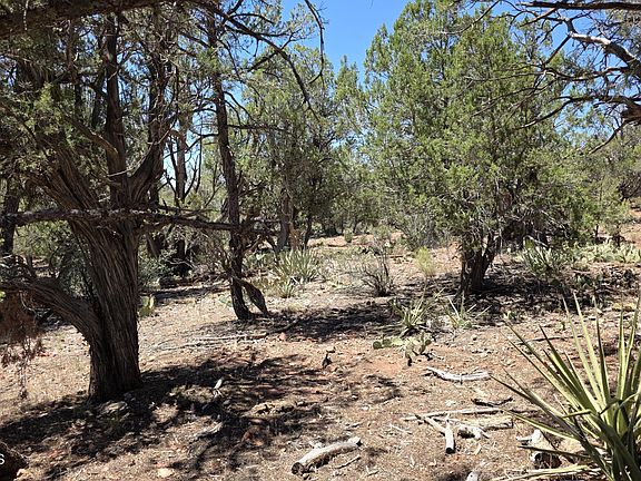 5th image of 179 Arizona Rd
