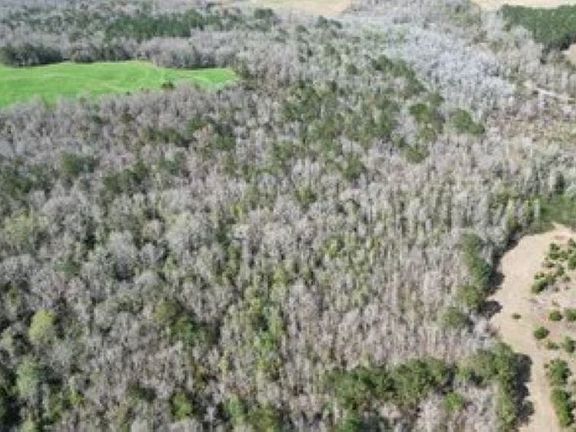 2nd image of 208 County Road 7 Rd