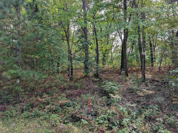 E8877 Raedel Ln, Wisconsin Dells, WI 53965