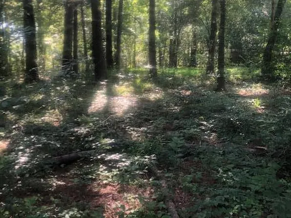 115 Muskie Dr, Summerville, SC 29483