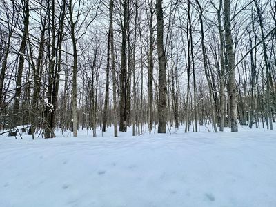 472 Maplewood Cir, Elmira, MI, 49730