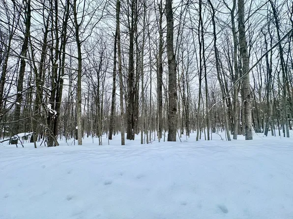 472 Maplewood Cir, Elmira, MI 49730