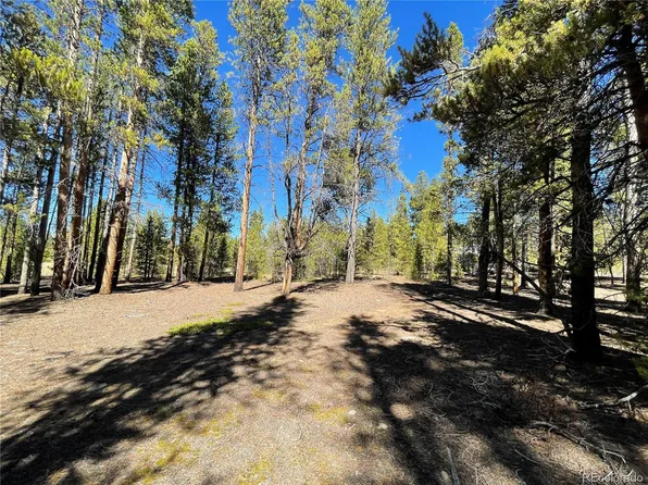 300 Virginia Avenue, Leadville, CO 80461