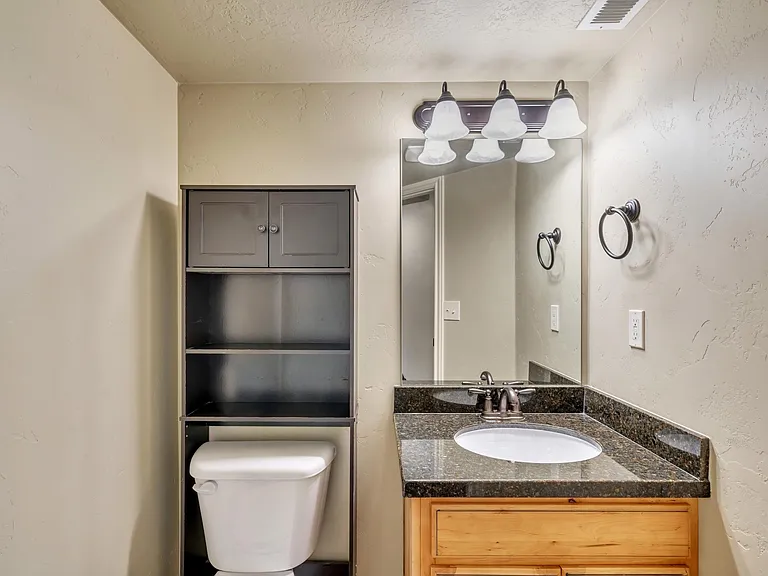 10462 S Sage View Way — Photo 23