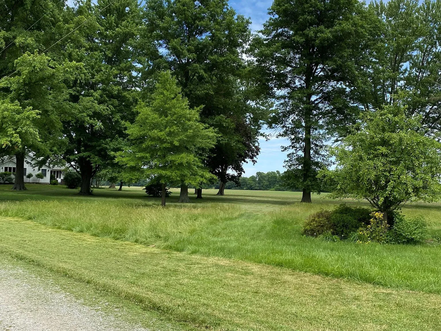 4 bed, 3504 sqft, $3,500 — Photo 1