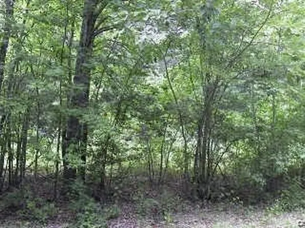 10837 Lucks Rd, Bumpass, VA 23024