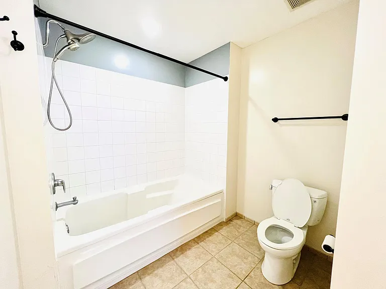 1250 S Michigan Ave #1208 — Photo 11