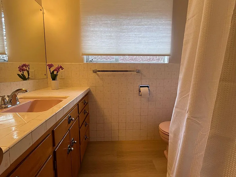 Main bathroom with shower and bathtub.