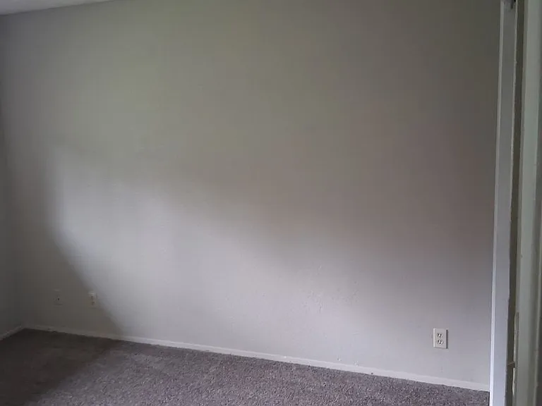 Rainier Vista — Photo 19