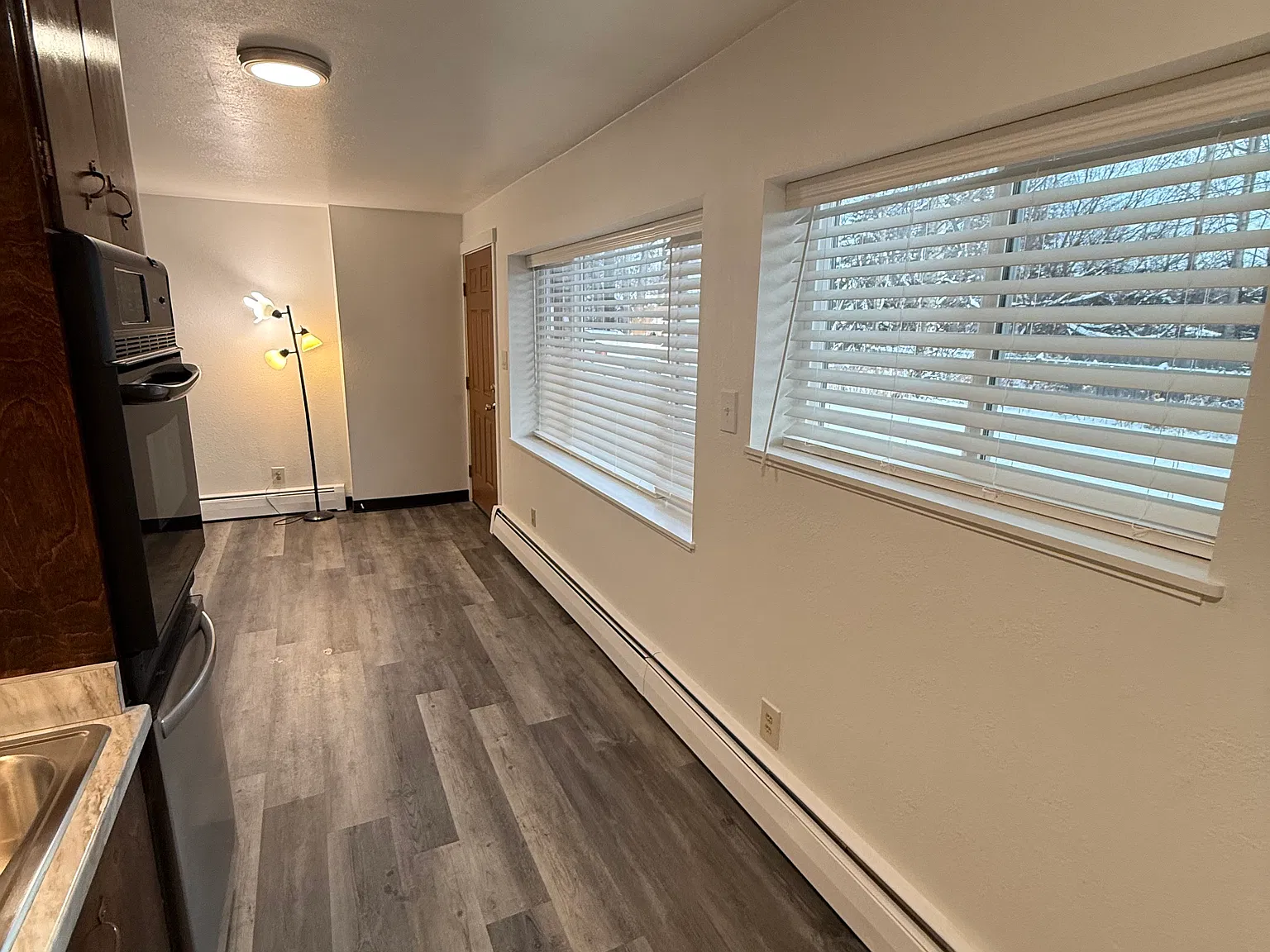 1 bed, 650 sqft, $1,300 — Photo 4