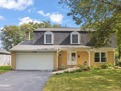 4525 Waubansie Ln, Lisle, IL, 60532