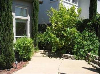 2nd image of 1440 Grey Owl Cir