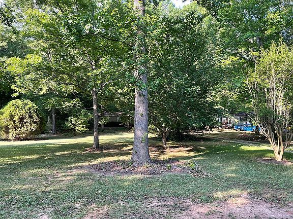 Wooded front yard