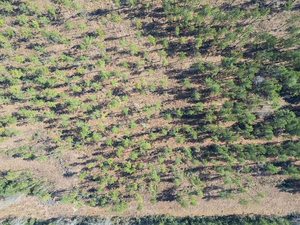 2nd image of LOT 11 Highway 89