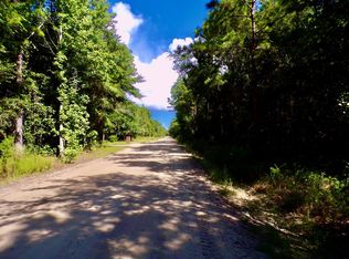 0 Bluff Rd LOT 17, Jesup, GA 31545