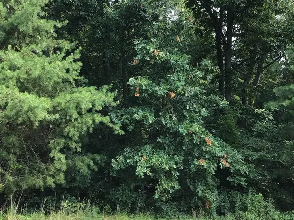 0 S Hildebrand Dr #21, Stendal, IN 47585