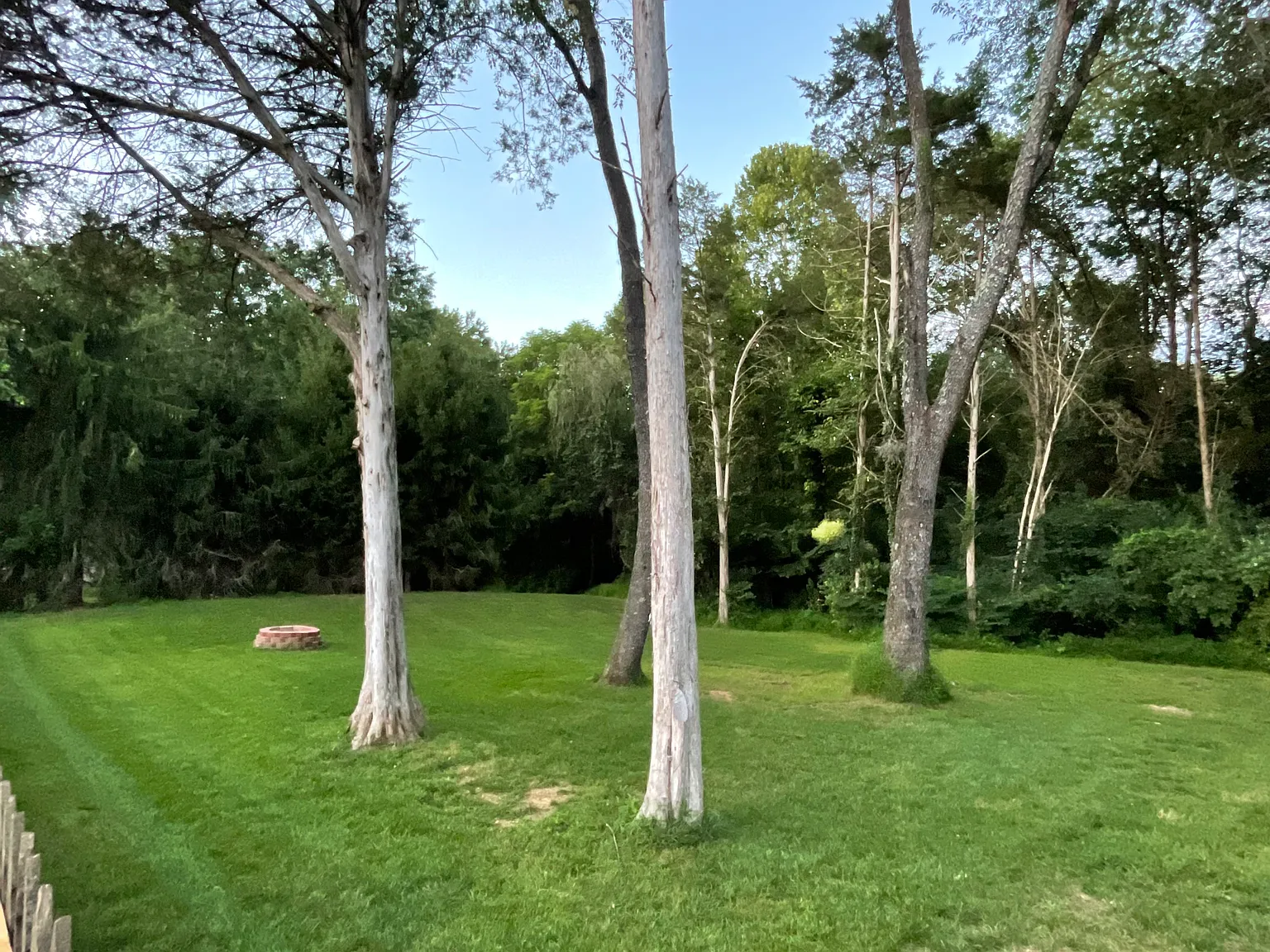 6 bed, 3307 sqft, $4,500 — Photo 3