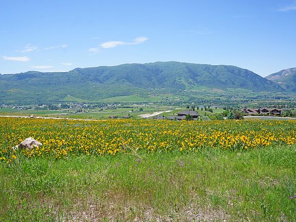 Front looking toward back