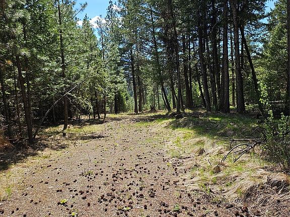 2nd image of 168 Prior Loop Road