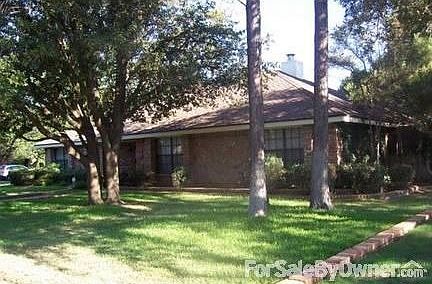 NorthEast Corner : 2 Tall Slash Pine and Live Oak
