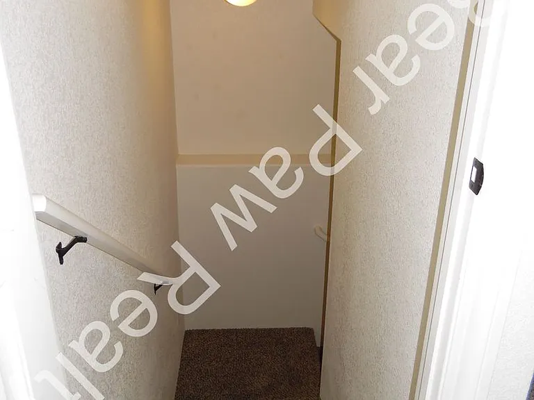 4113 Gunsmoke Rd — Photo 18