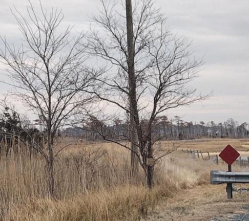 4th image of 0 Crowell Rd