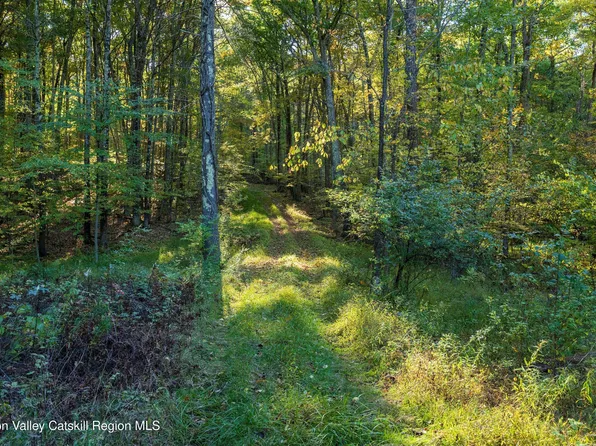 8780 New York 32, Freehold, NY 12431