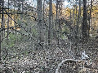 113 Breckenridge Point, Temple, GA 30179